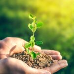 plant, planting, agriculture, farming, environment, growth, green, leaf, seed, concept, hand, soil, ecosystem, ecology, nature, fertilizer, seeding, fresh, organic, sprout, grow, holding, care, protection, protect